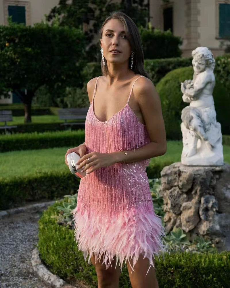 Elegantes Partykleid Mit Pailletten Und Federn