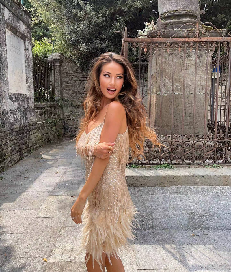 Elegantes Partykleid Mit Pailletten Und Federn
