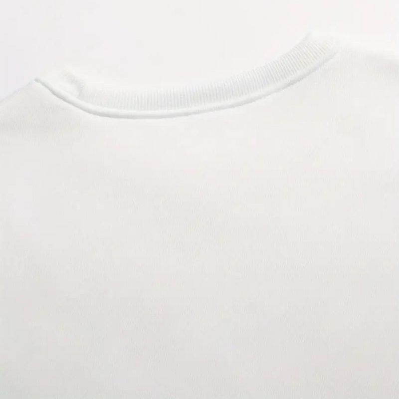 Bequemes Und Elegantes Sweatshirt Für Damen Im Herbst