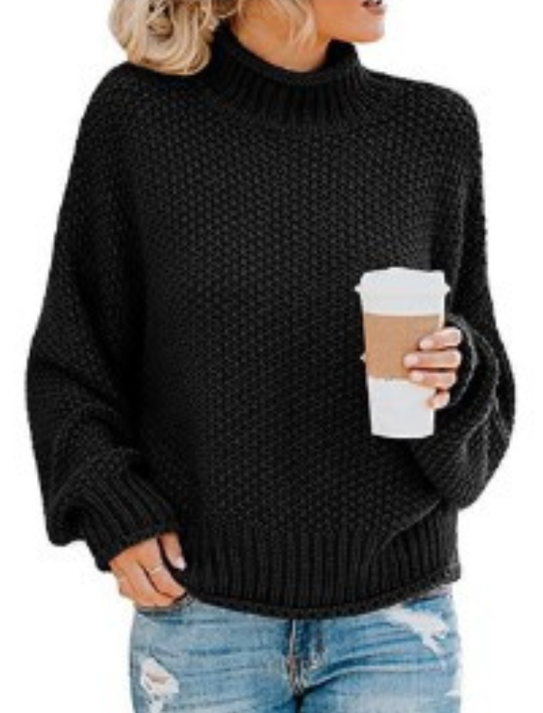 Eleganter Pullover Für Kühle Tage Mit Langem Arm