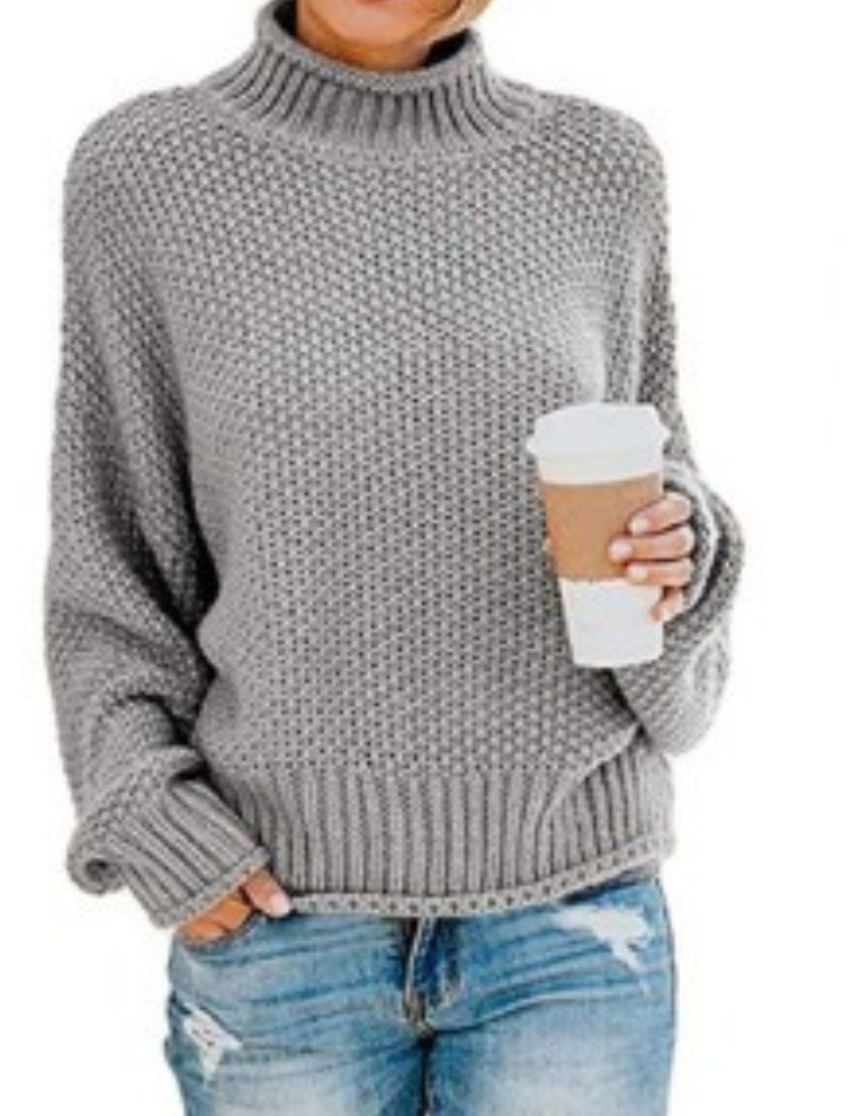 Eleganter Pullover Für Kühle Tage Mit Langem Arm
