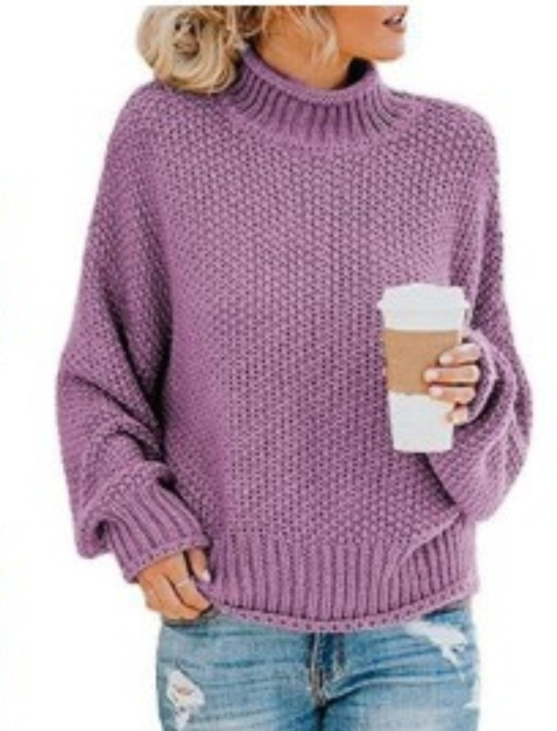 Eleganter Pullover Für Kühle Tage Mit Langem Arm
