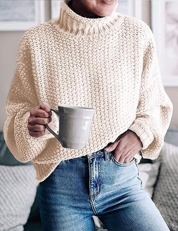 Eleganter Pullover Für Kühle Tage Mit Langem Arm