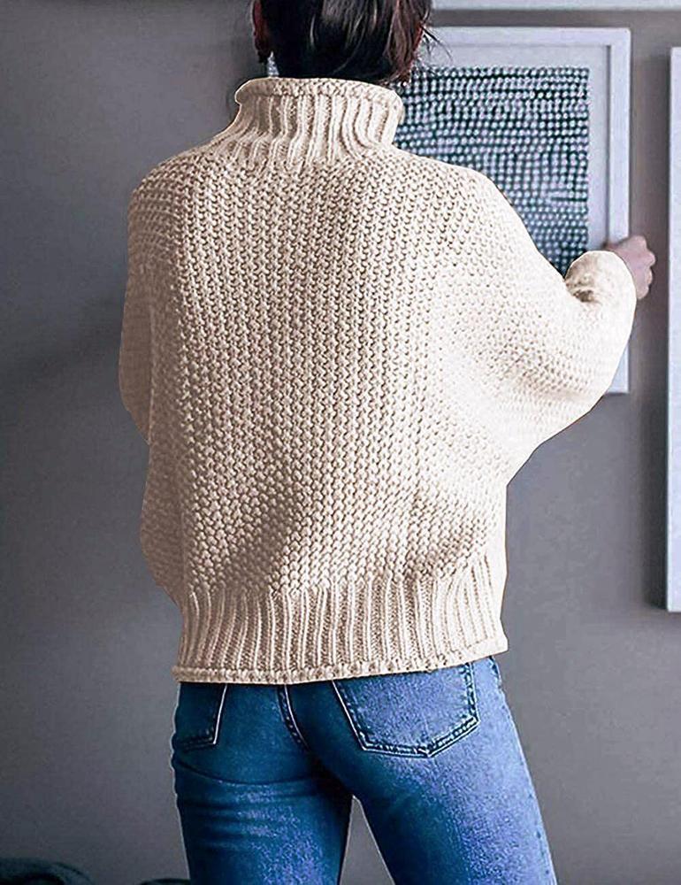 Eleganter Pullover Für Kühle Tage Mit Langem Arm