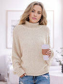 Eleganter Pullover Für Kühle Tage Mit Langem Arm